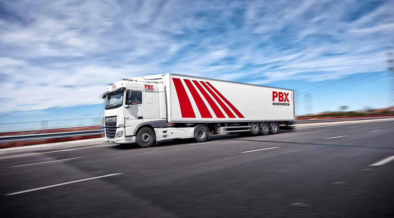 Logistica y Transporte - Camion Palibex