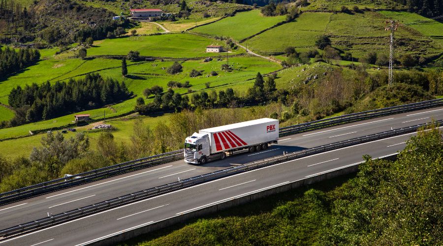 crecimiento empresa de transporte de palets- palibex-jaime colsa-01